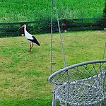 Zagroda Mazury -,,domki Nad Rozlewiskiem