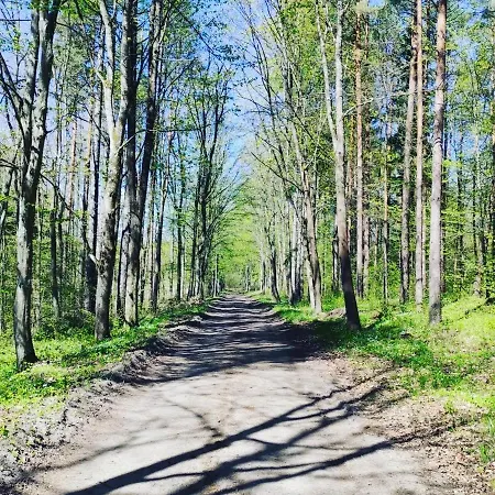 Zagroda Mazury -,,domki Nad Rozlewiskiem