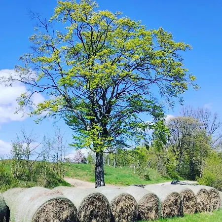 Holiday home Zagroda Mazury -,,domki Nad Rozlewiskiem