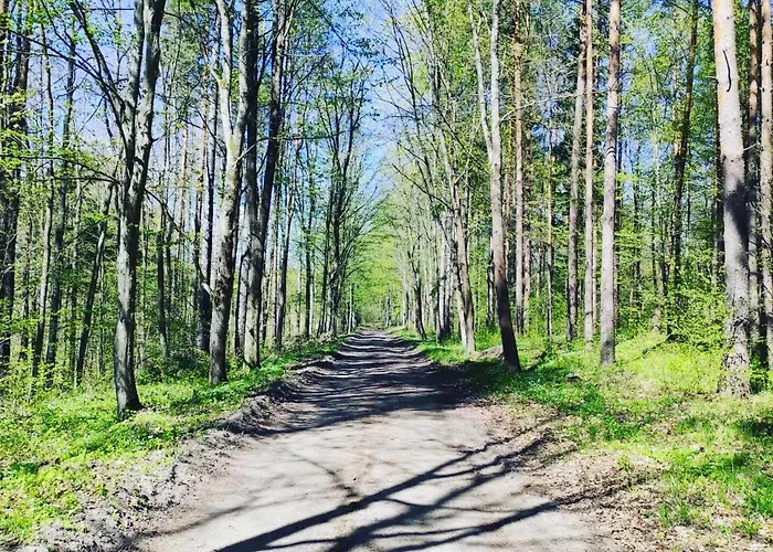 Zagroda Mazury -,,domki Nad Rozlewiskiem