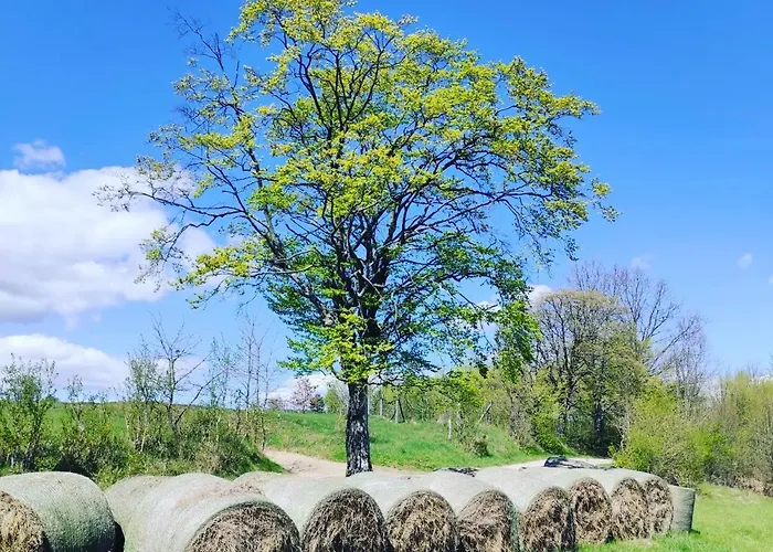 Prázdninový dům Zagroda Mazury -,,domki Nad Rozlewiskiem